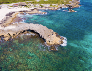 el mirador